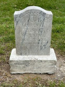 Monument Cleaning and Restoration Service: Single Upright Headstone